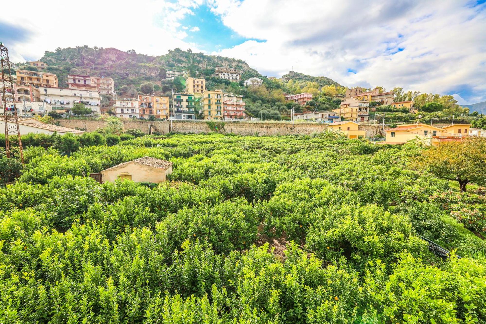 B&B Giardino Dei Cedri Trabia Dış mekan fotoğraf